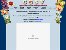 Tablet Screenshot of cosv.com.au